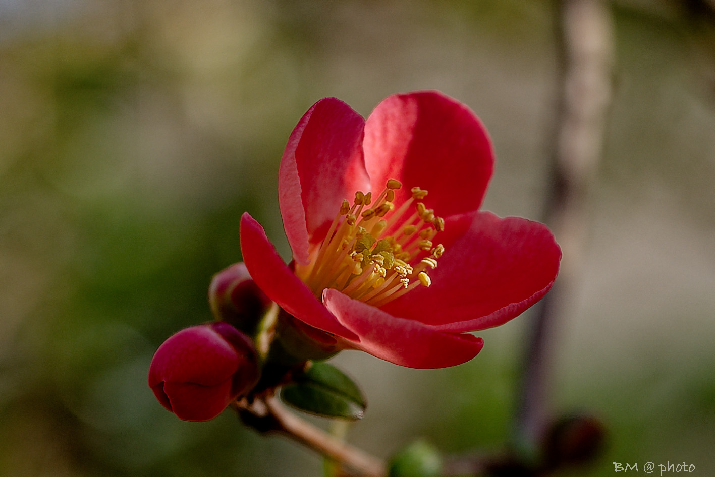 L1002302_DxO-1